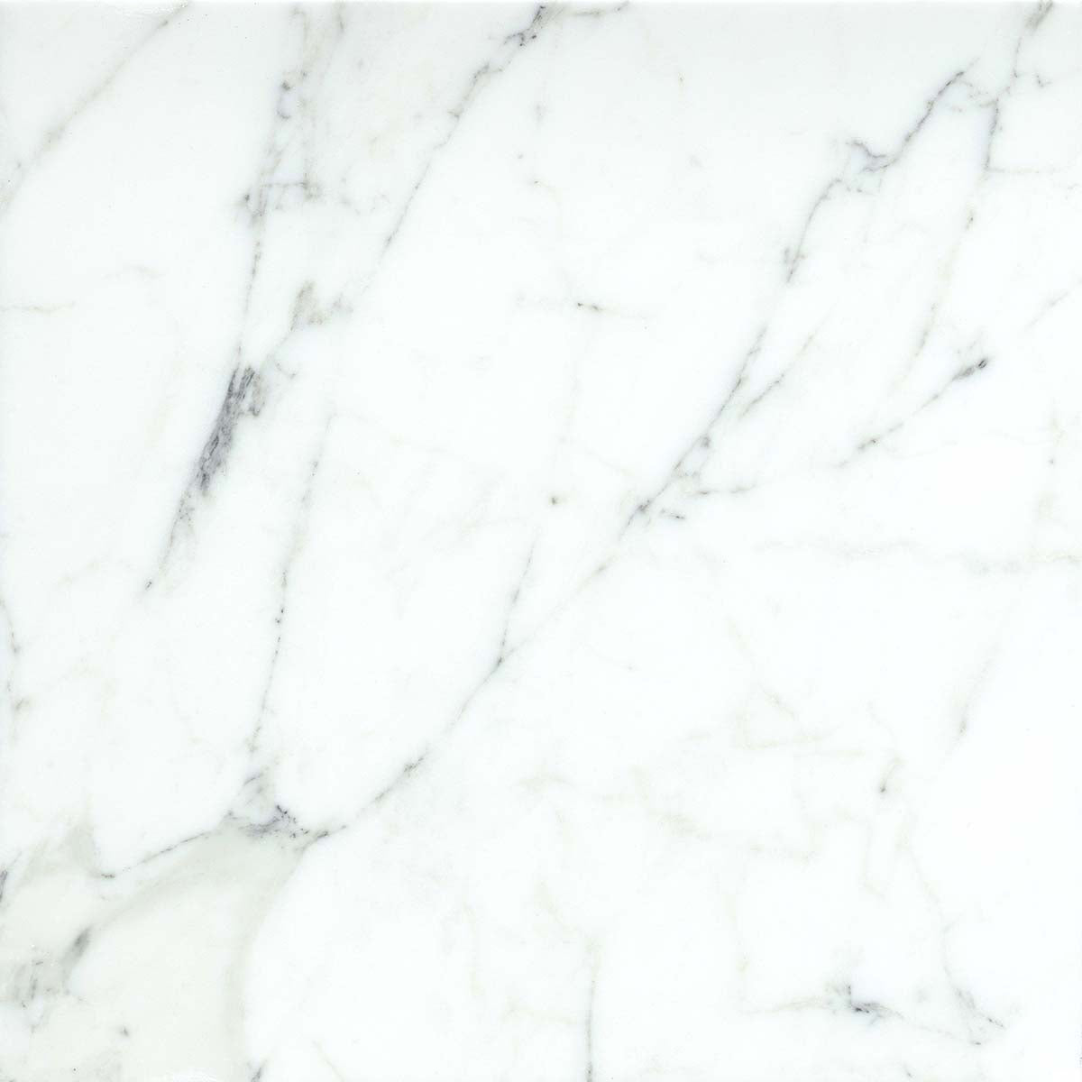 Emser Calacata 5-Pack Calacata Oro Natural Stone Marble Border Tile (12-in x 12-in)